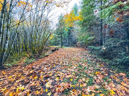 Farm and Ranch for sale in Lane County, Oregon