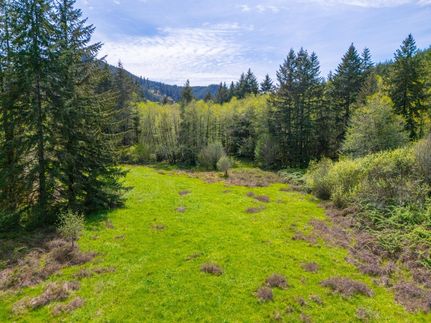 Undeveloped Land for sale in Lane County, Oregon