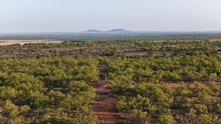 Farm and Ranch for sale in Fisher County, Texas