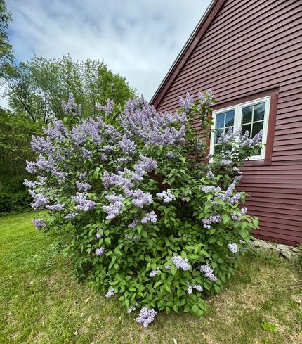 Farm and Ranch for sale in Lincoln County, Maine