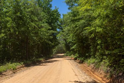 Farm and Ranch for sale in Twiggs County, Georgia