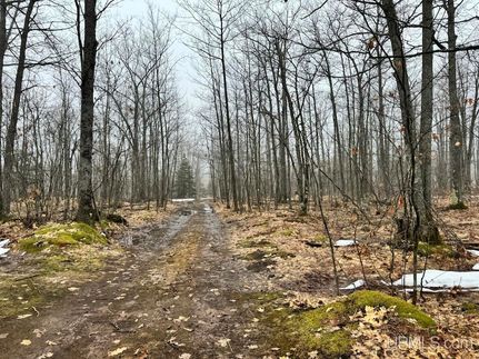Farm and Ranch for sale in Baraga County, Michigan