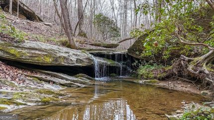 Undeveloped Land for sale in Haralson County, Georgia