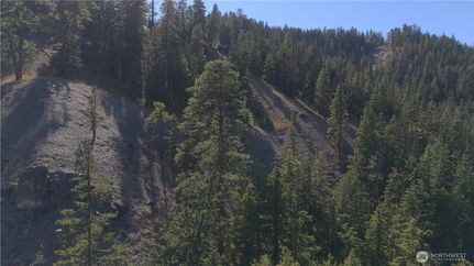 Undeveloped Land for sale in Chelan County, Washington