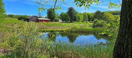 Land for sale in Chemung County, New York