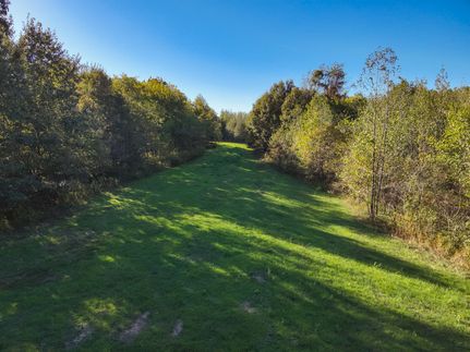 Commercial Property for sale in Carlisle County, Kentucky