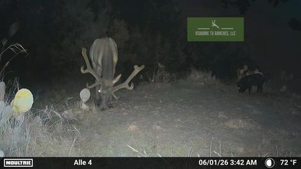 Hunting Property for sale in Edwards County, Texas