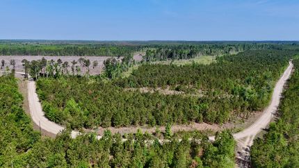 Farm and Ranch for sale in Wheeler County, Georgia