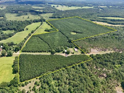 Timberland Property for sale in Henry County, Alabama