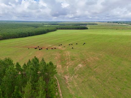 Farm and Ranch for sale in Henry County, Alabama
