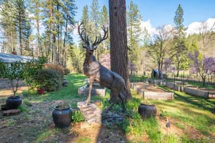 Recreational Property for sale in Shasta County, California