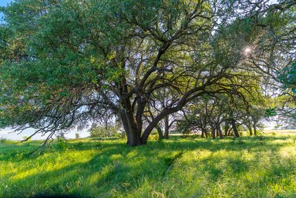 Farm and Ranch for sale in Burnet County, Texas