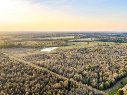 Commercial Property in Bowie County, Texas