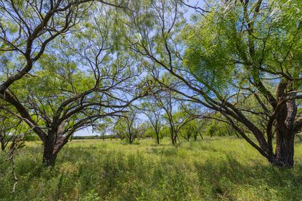 Land for sale in Coryell County, Texas