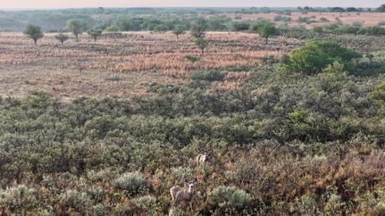 Recreational Property for sale in Hall County, Texas