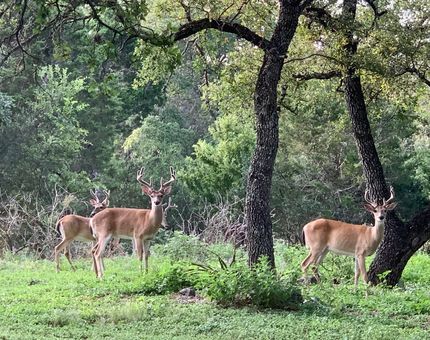 Farm and Ranch for sale in Concho County, Texas