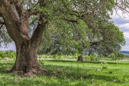 Undeveloped Land for sale in Mills County, Texas