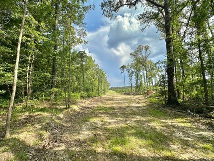 Land for sale in Rankin County, Mississippi