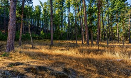 Farm and Ranch for sale in Pennington County, South Dakota