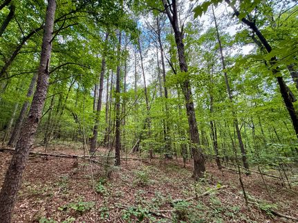 Timberland Property for sale in Cullman County, Alabama