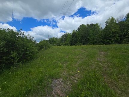 Land for sale in Chenango County, New York
