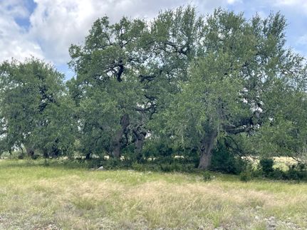 Timberland Property for sale in Comal County, Texas
