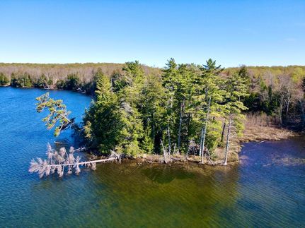 Farm and Ranch for sale in Luce County, Michigan