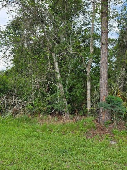 Recreational Property for sale in Volusia County, Florida