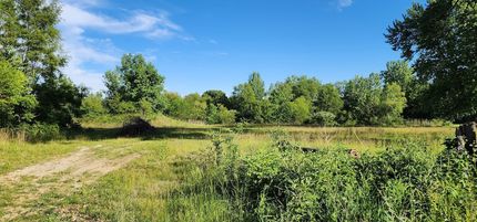Farm and Ranch for sale in Will County, Illinois
