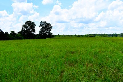 Farm and Ranch for sale in Leon County, Texas