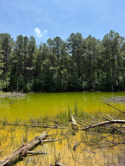Land for sale in McMinn County, Tennessee