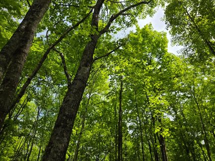 Recreational Property for sale in Sawyer County, Wisconsin