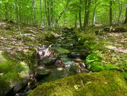 Farm and Ranch for sale in Warren County, New York