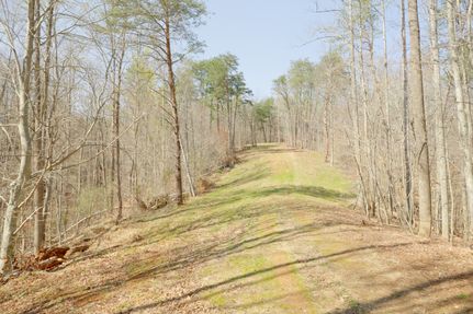 Timberland Property for sale in Stokes County, North Carolina