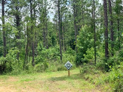 Timberland Property for sale in Sumter County, Alabama