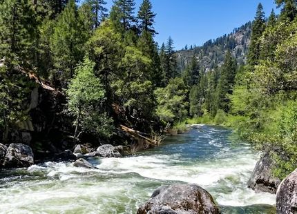 Recreational Property for sale in Alpine County, California