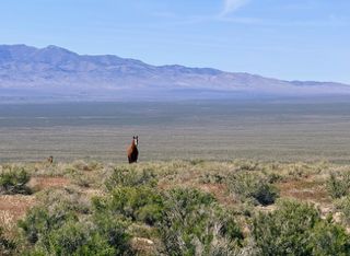 Farm and Ranch for sale in Pershing County, Nevada