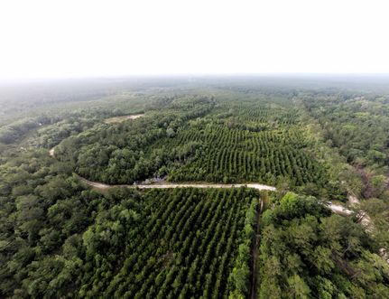 Farm and Ranch for sale in Tyler County, Texas