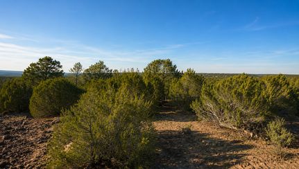 Farm and Ranch for sale in Apache County, Arizona