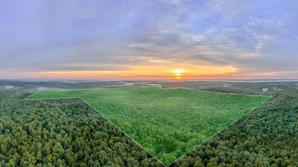 Timberland Property for sale in Texas County, Missouri