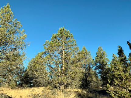 Farm and Ranch in Klamath County, Oregon