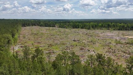 Timberland Property for sale in Kershaw County, South Carolina