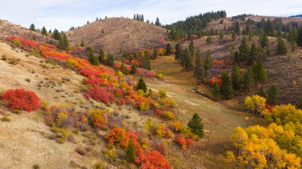 Farm and Ranch for sale in Adams County, Idaho
