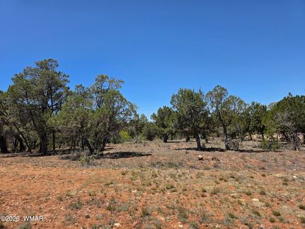 Farm and Ranch for sale in Navajo County, Arizona