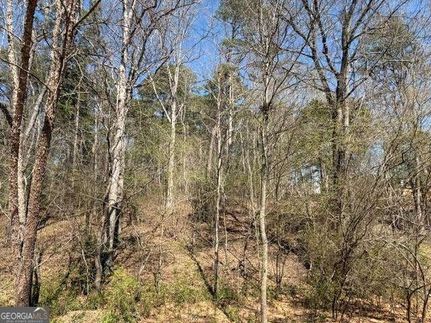 Recreational Property for sale in Walton County, Georgia