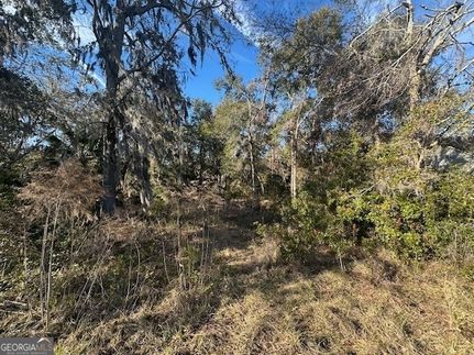 Timberland Property for sale in Camden County, Georgia