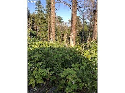 Farm and Ranch for sale in Lincoln County, Oregon