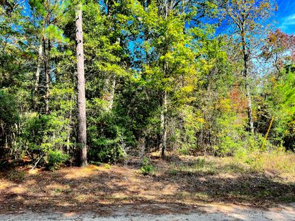Land for sale in Tyler County, Texas