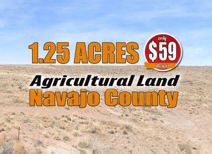Recreational Property for sale in Navajo County, Arizona