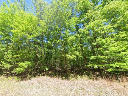 Farm and Ranch for sale in Macon County, Alabama